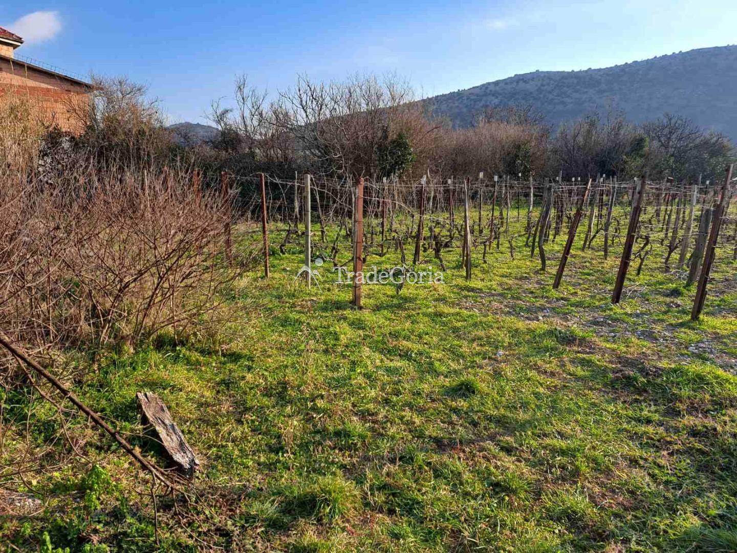 Large flat land plot in Field, Barska Riviera
