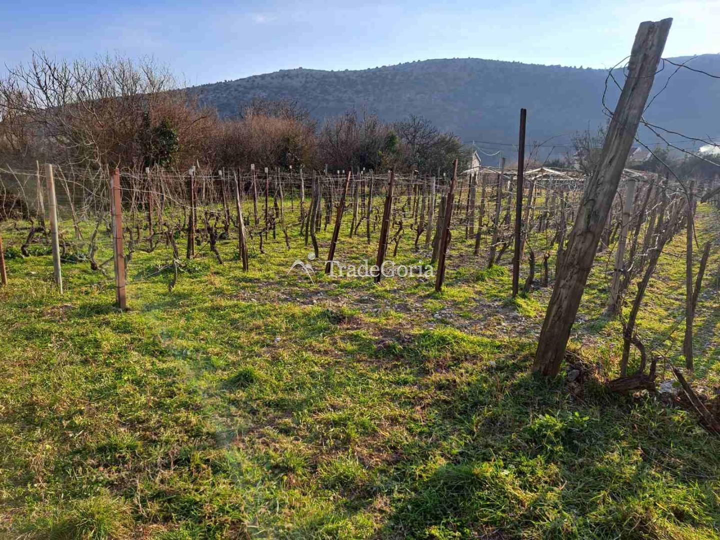 Large flat land plot in Field, Barska Riviera