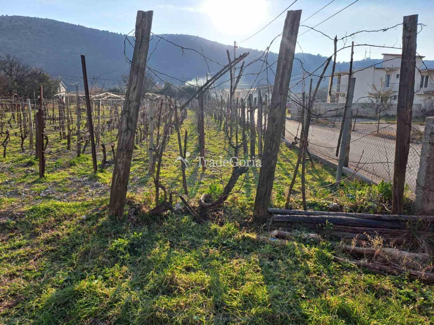 Large flat land plot in Field, Barska Riviera