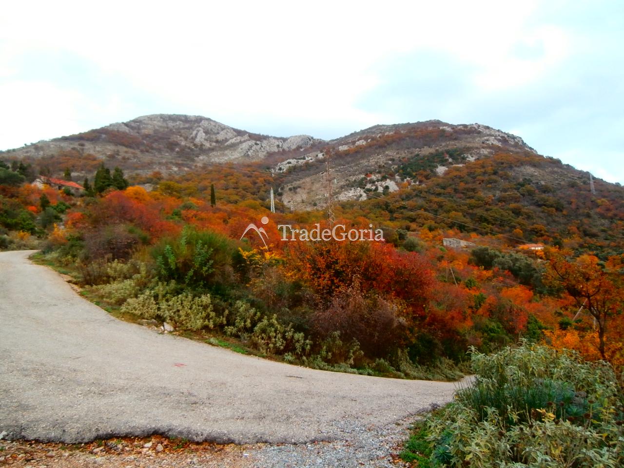 Velika parcela, površine 21000m2