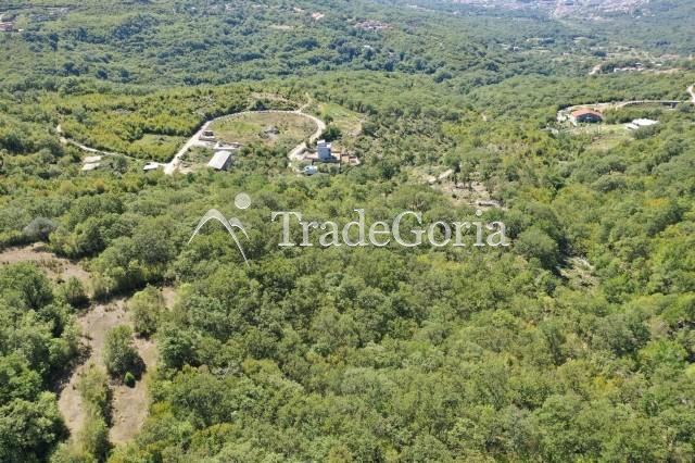 Velika parcela, površine 21000m2