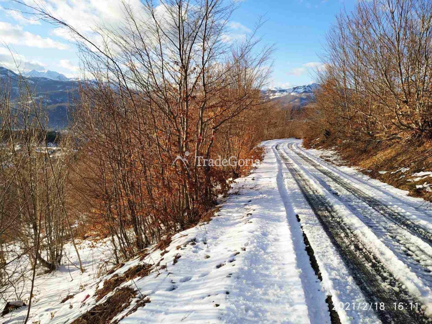 Large plot with coniferous forest for construction