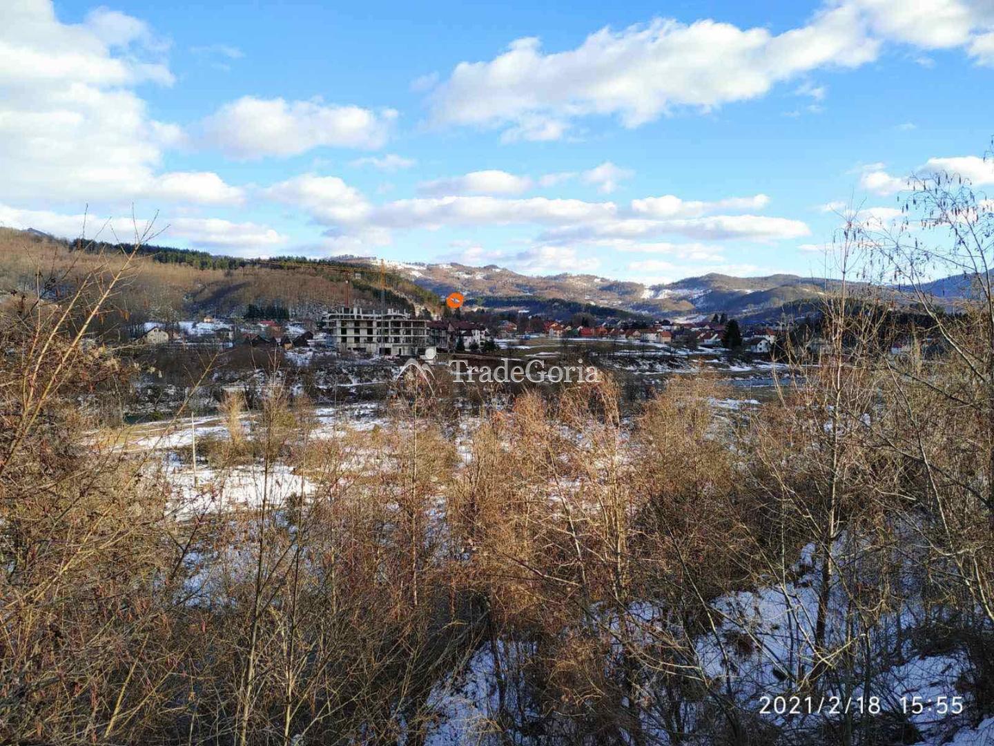 Large plot with coniferous forest for construction