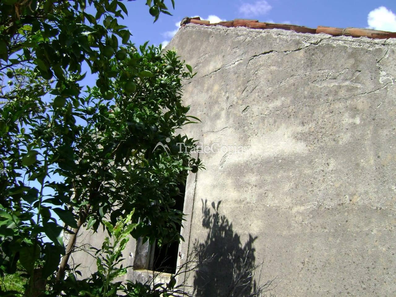 Большой участок в Залево с гранатовой рощой с рушевиной