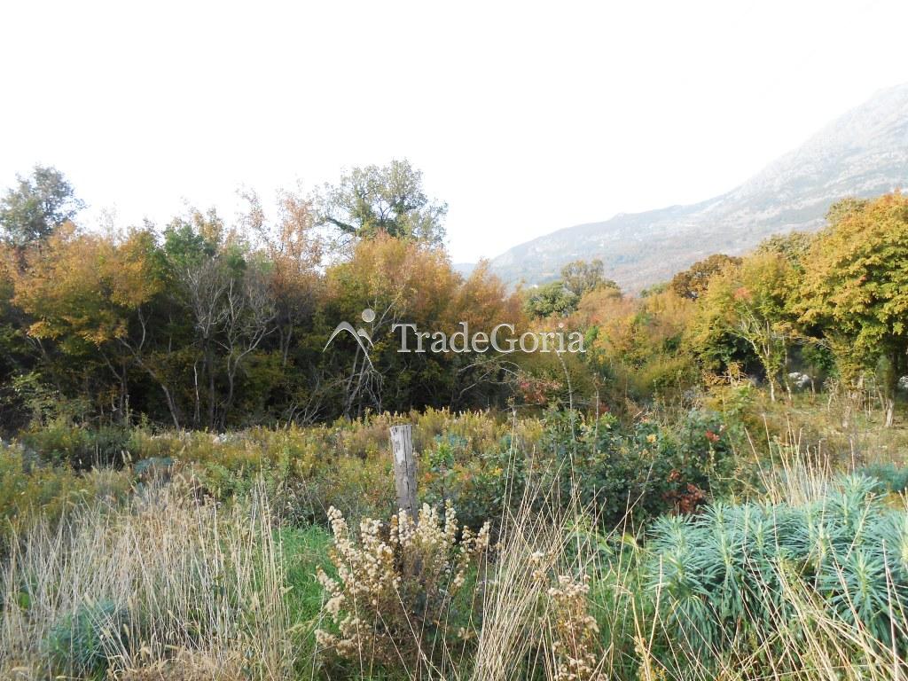 Large plot of land in Dobrye Vody