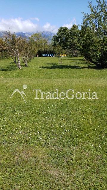 Large land plot 1661 m2 in Bar, bus station area