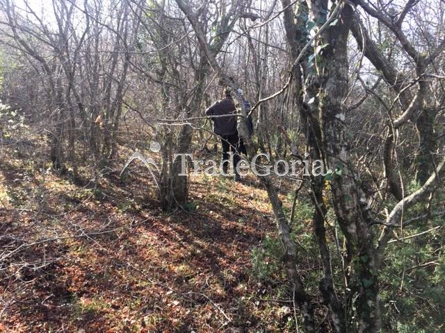 Large land plot in Bar city, Zubtsi area for complex construction