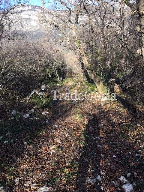 Large land plot in Bar city, Zubtsi area for complex construction