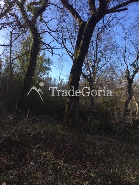 Large land plot in Bar city, Zubtsi area for complex construction