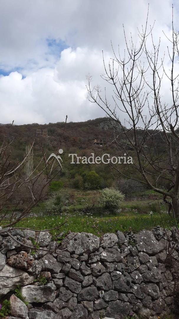 Large land plot above Bar, Donja Poda