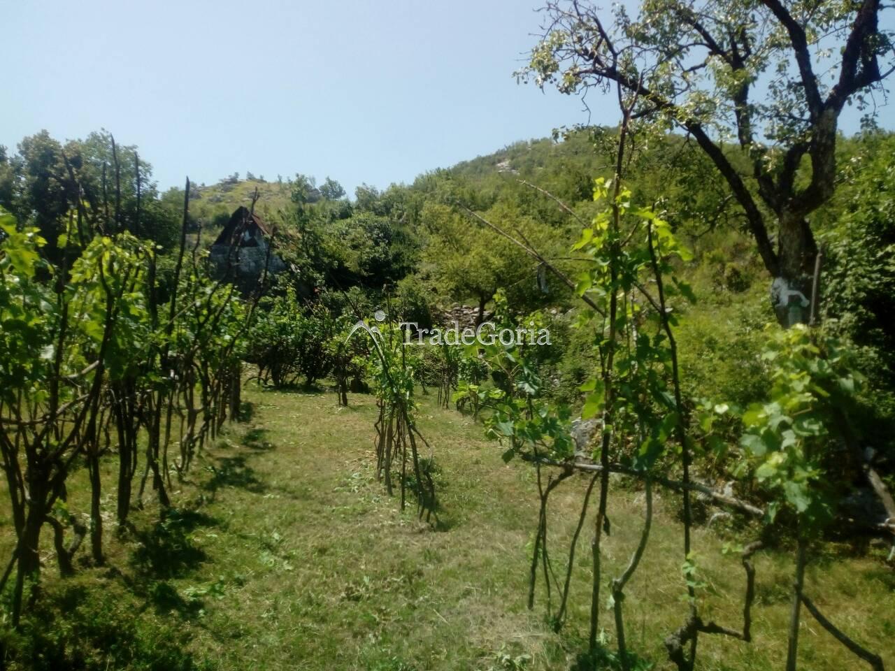 Large Land Plot near Cetinje