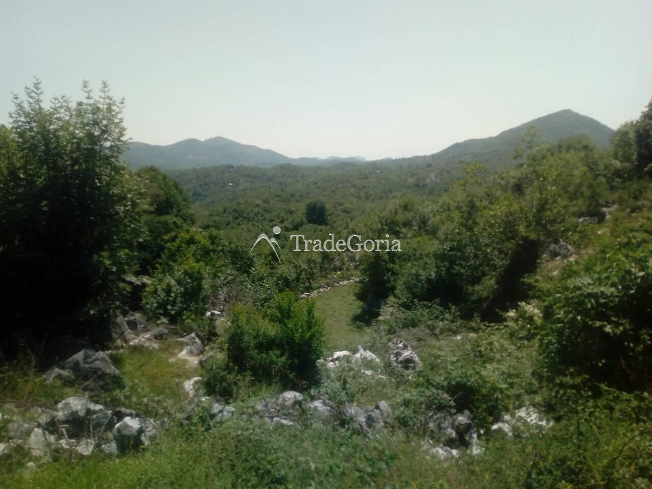 Large Land Plot near Cetinje