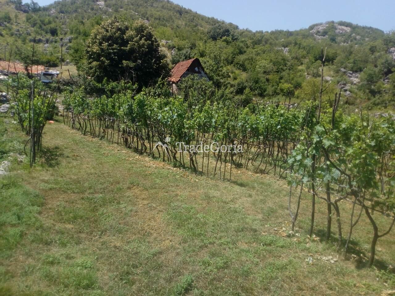 Large Land Plot near Cetinje