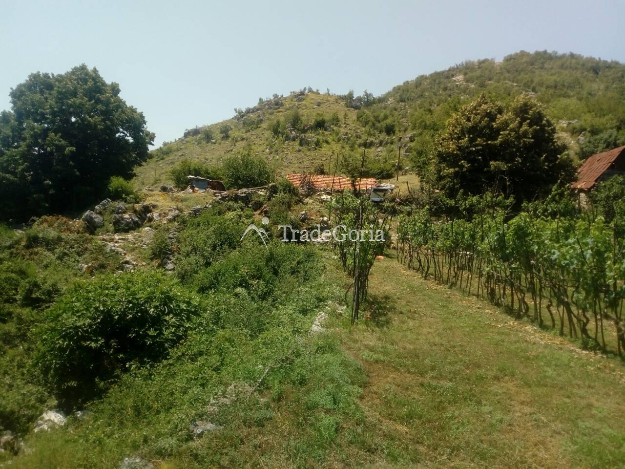 Large Land Plot near Cetinje