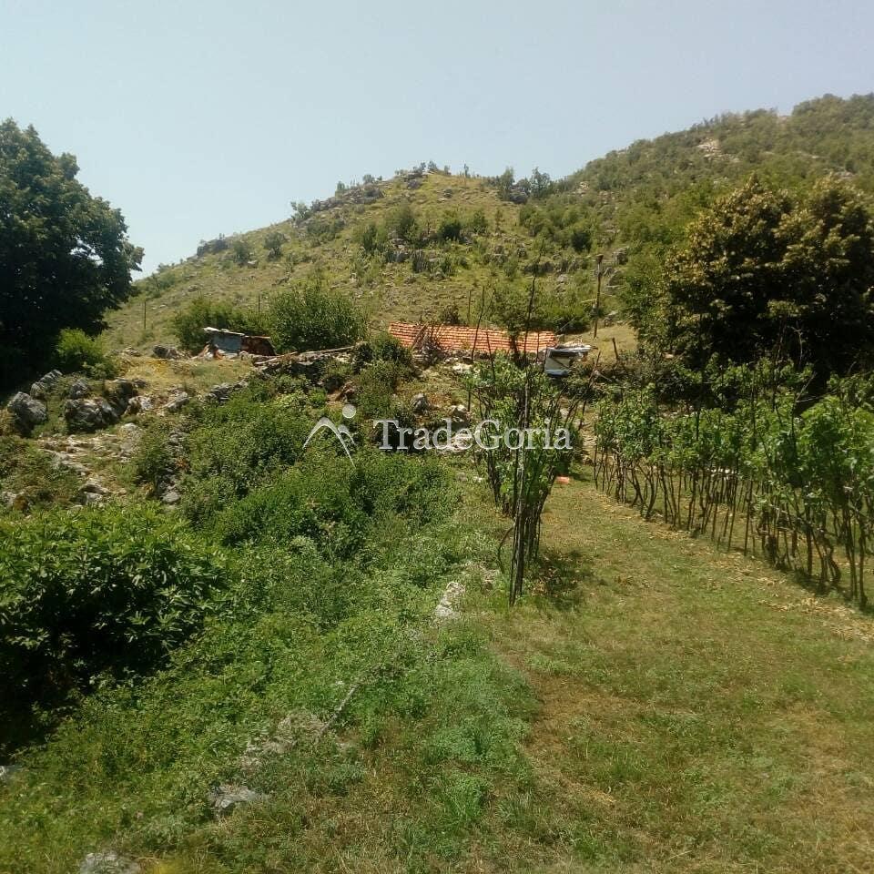 Large Land Plot near Cetinje