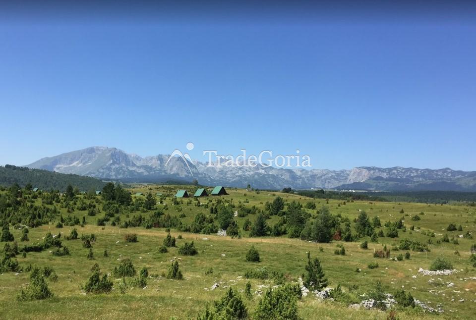 Large land plot in Zhabljak, Borje with stunning views