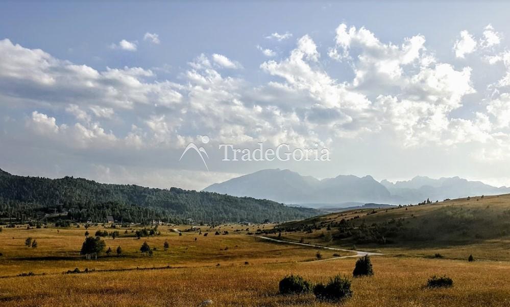Large land plot in Zhabljak, Borje with stunning views