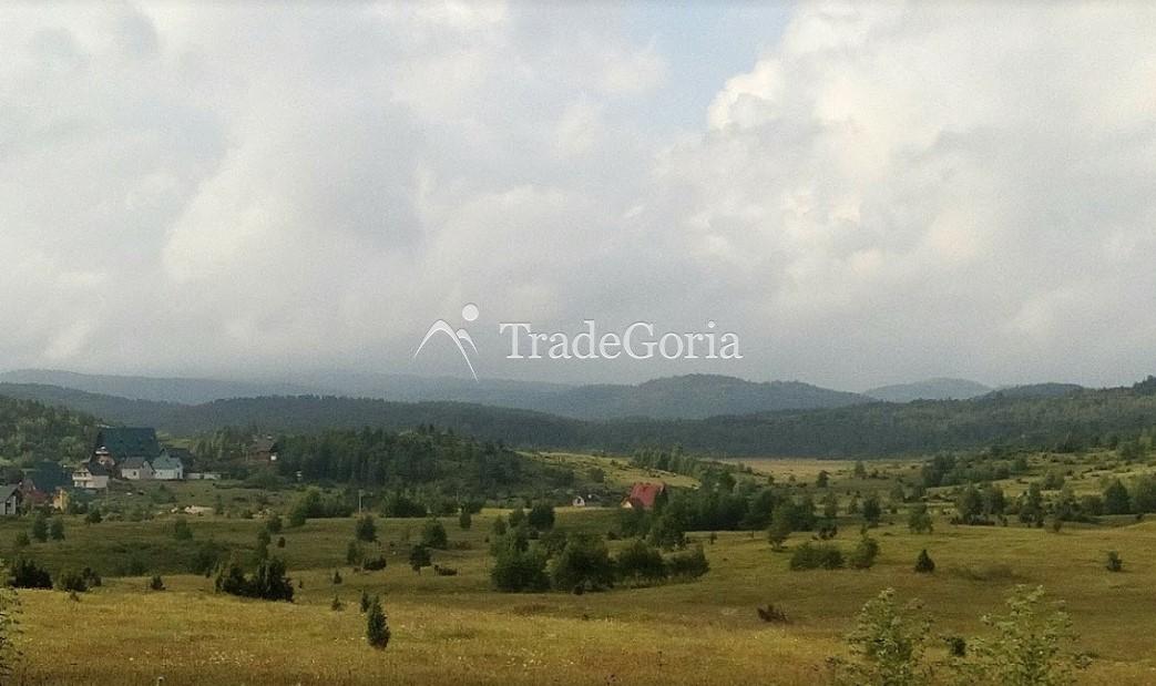 Large land plot in Zhabljak, Borje with stunning views