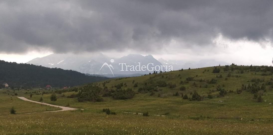 Large land plot in Zhabljak, Borje with stunning views