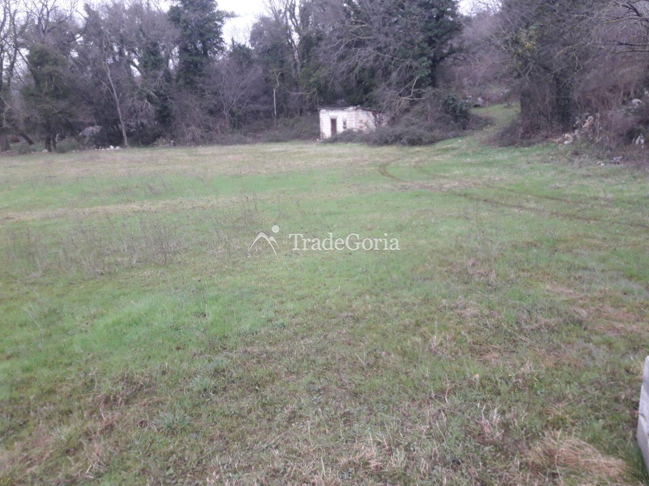 Wooden house with a large plot near Danilovgrad