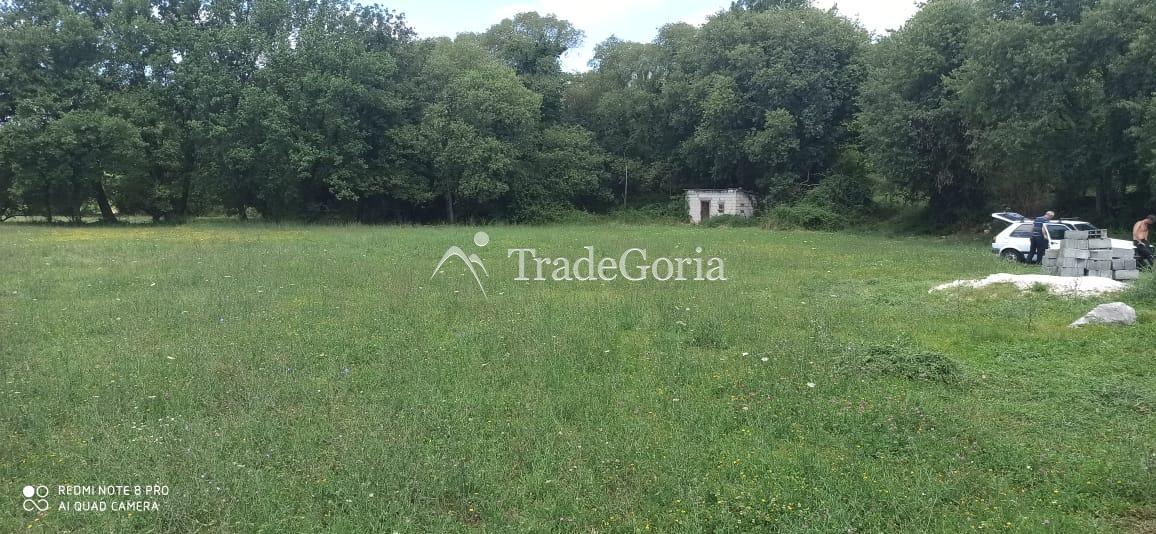 Wooden house with a large plot near Danilovgrad