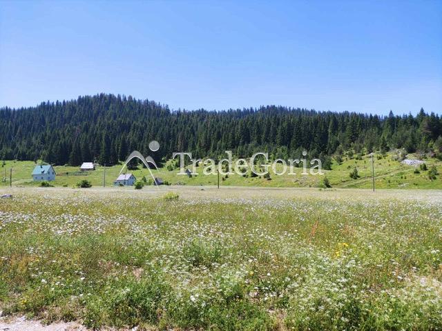 Two land plots in Zhabljak