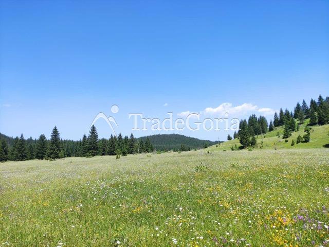 Two land plots in Zhabljak
