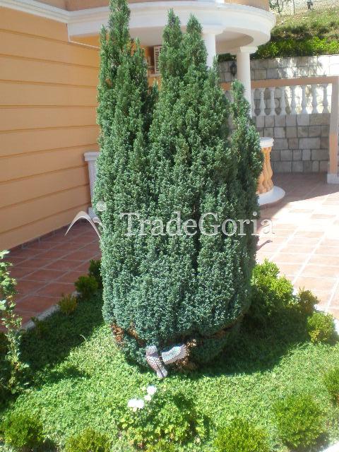 Exclusive villa in Petrovac, Budva Riviera, excellent quiet location.