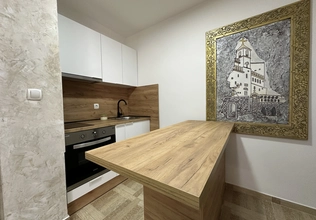Izdaje se stan od 1. oktobra u Bečićima sa 1 spavaćom sobom 42m2