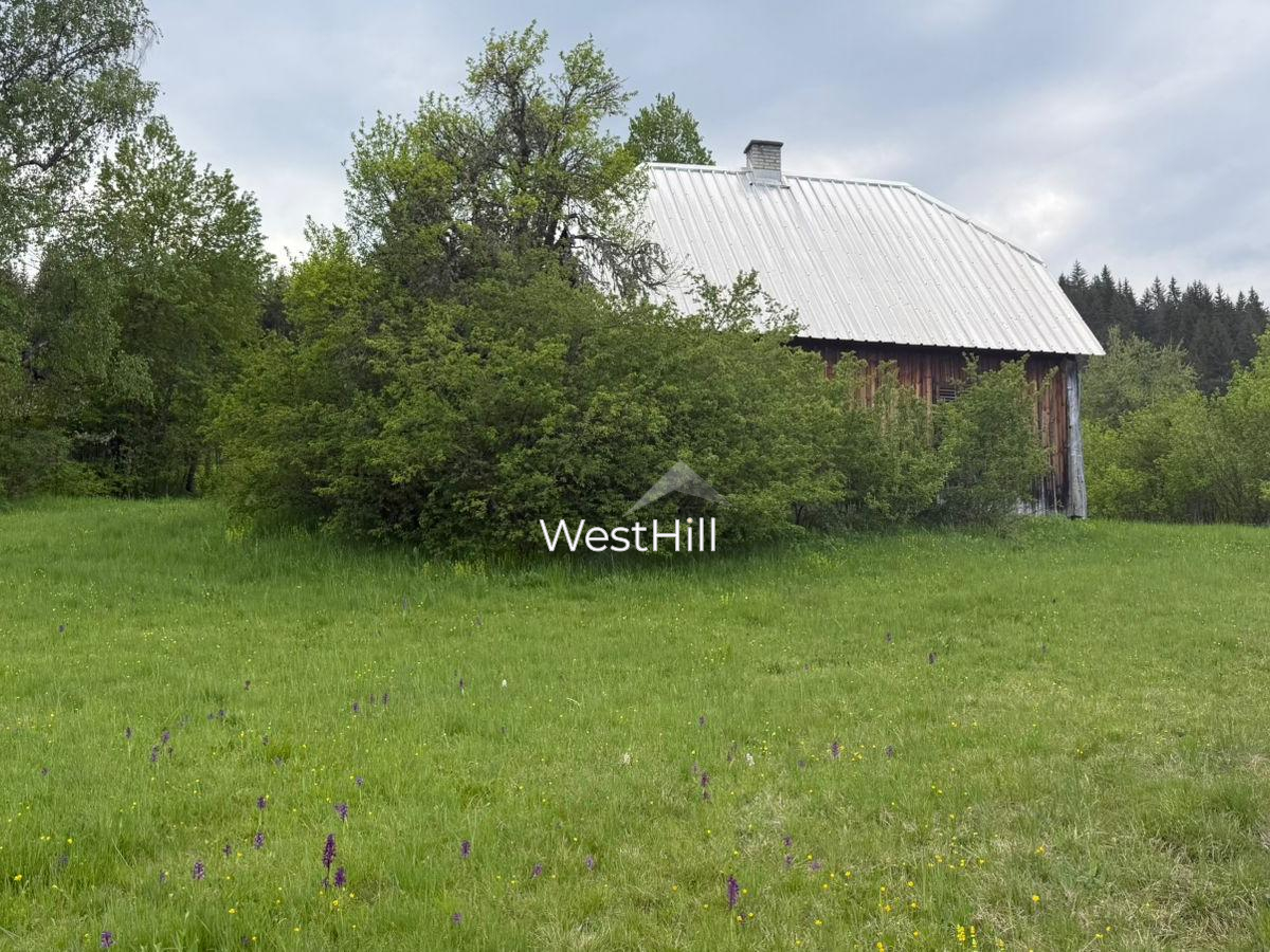 House & 45,500 m² Plot in Borova, Pljevlja, Montenegro