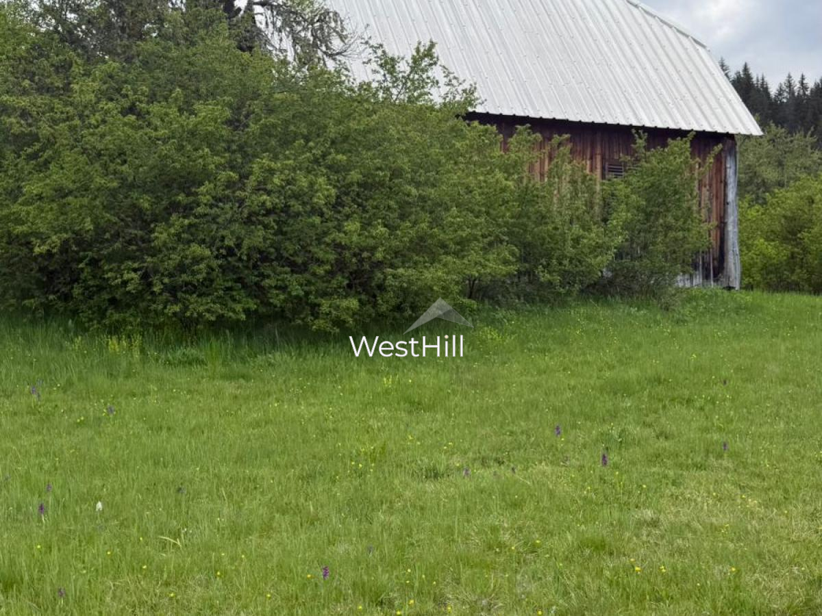 House & 45,500 m² Plot in Borova, Pljevlja, Montenegro