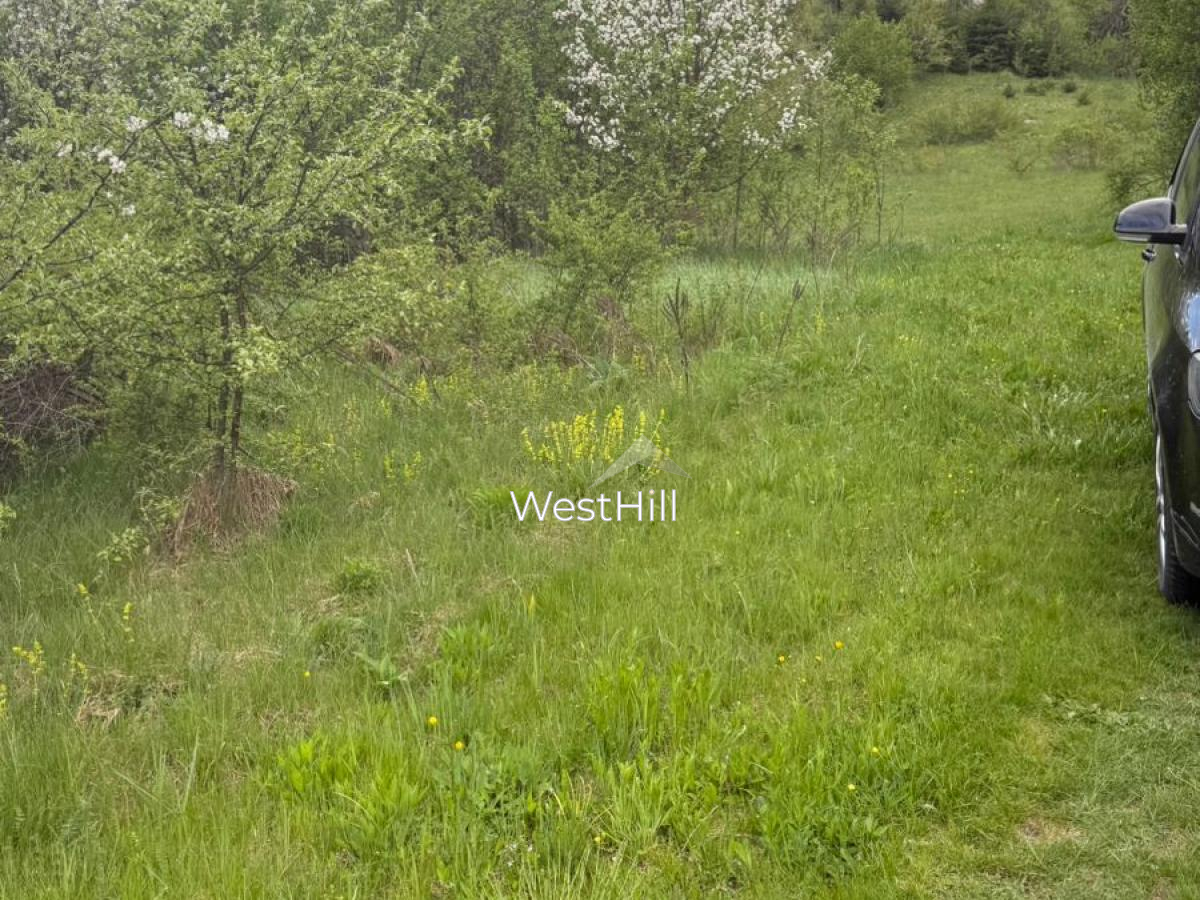 House & 45,500 m² Plot in Borova, Pljevlja, Montenegro