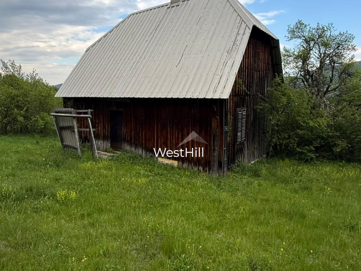 House & 45,500 m² Plot in Borova, Pljevlja, Montenegro