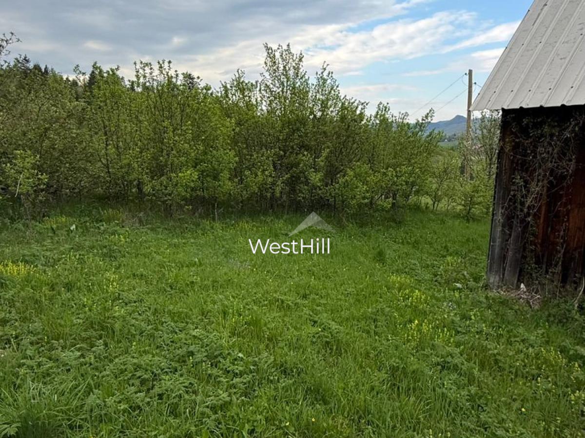 House & 45,500 m² Plot in Borova, Pljevlja, Montenegro