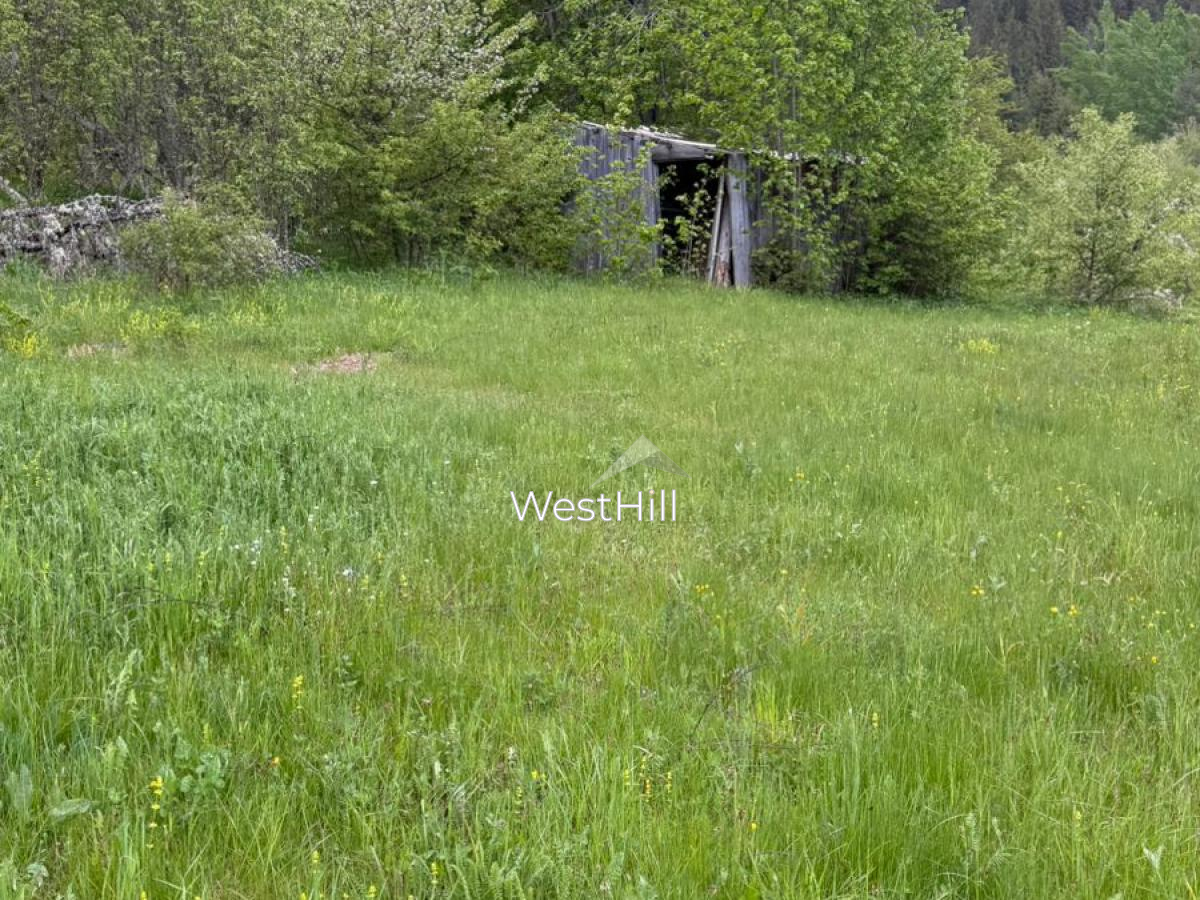 House & 45,500 m² Plot in Borova, Pljevlja, Montenegro