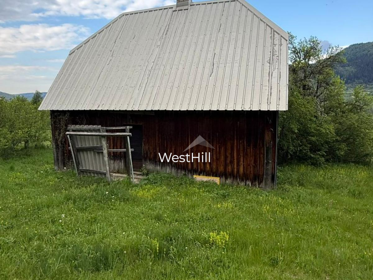 House & 45,500 m² Plot in Borova, Pljevlja, Montenegro