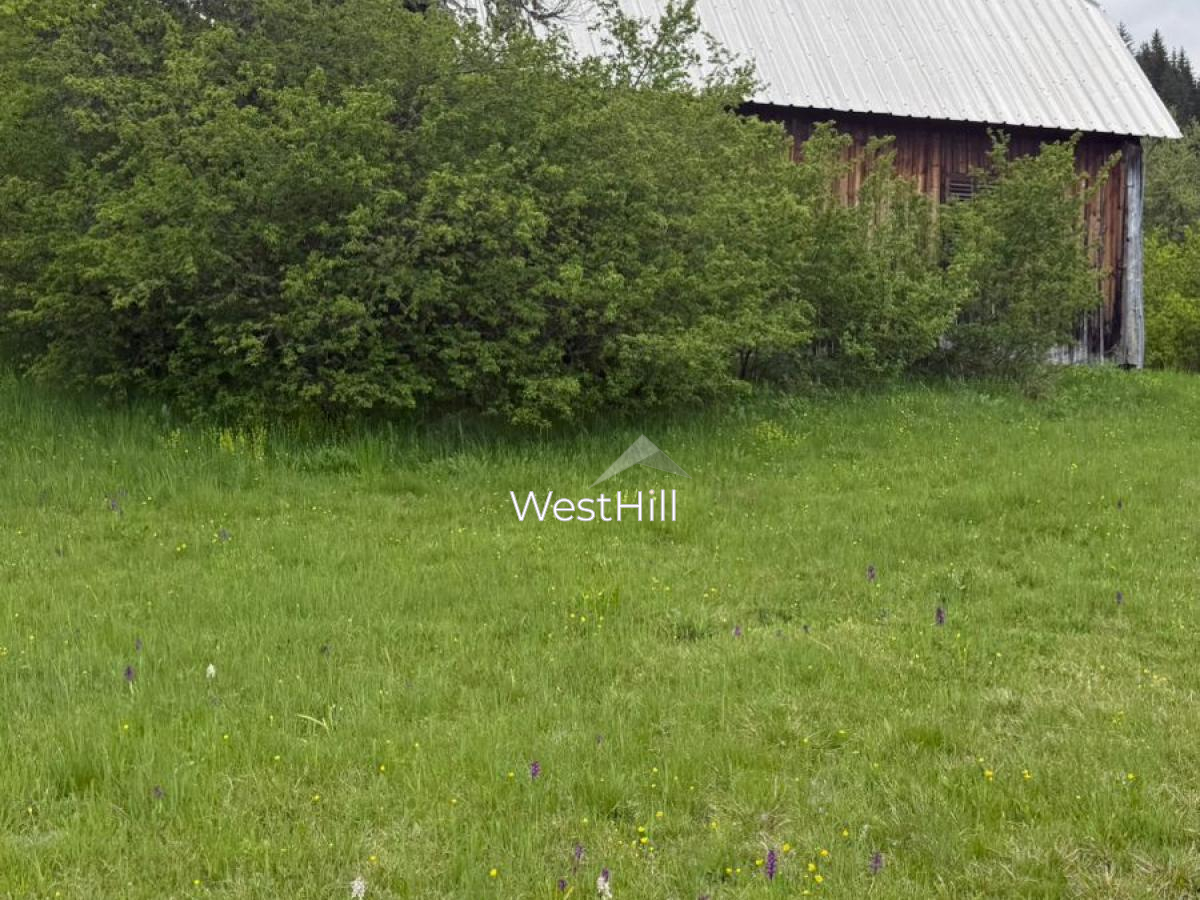 House & 45,500 m² Plot in Borova, Pljevlja, Montenegro