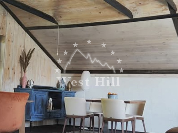 Haus mit modernem Innendesign in Zvinje