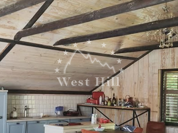 Haus mit modernem Innendesign in Zvinje