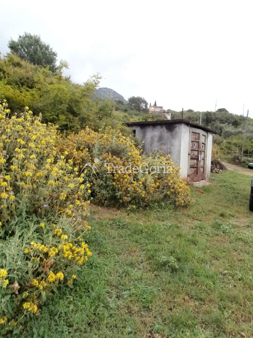 Posjed 7662 m2, u Dobroj Vodi, Barska Rivijera