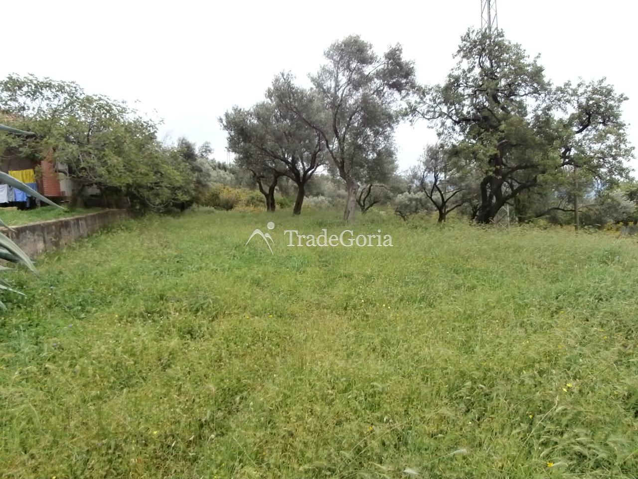 Posjed 7662 m2, u Dobroj Vodi, Barska Rivijera