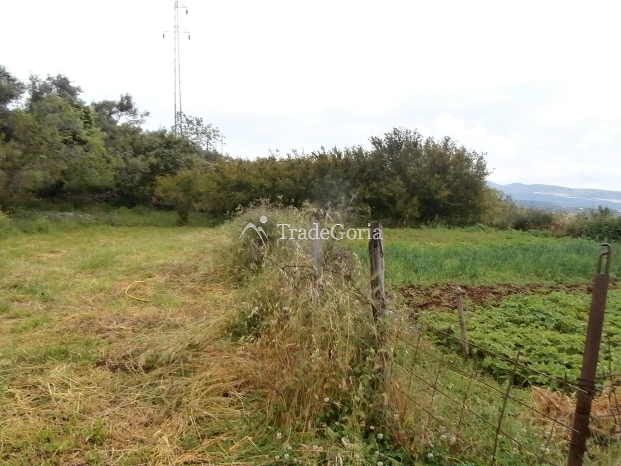 Posjed 7662 m2, u Dobroj Vodi, Barska Rivijera