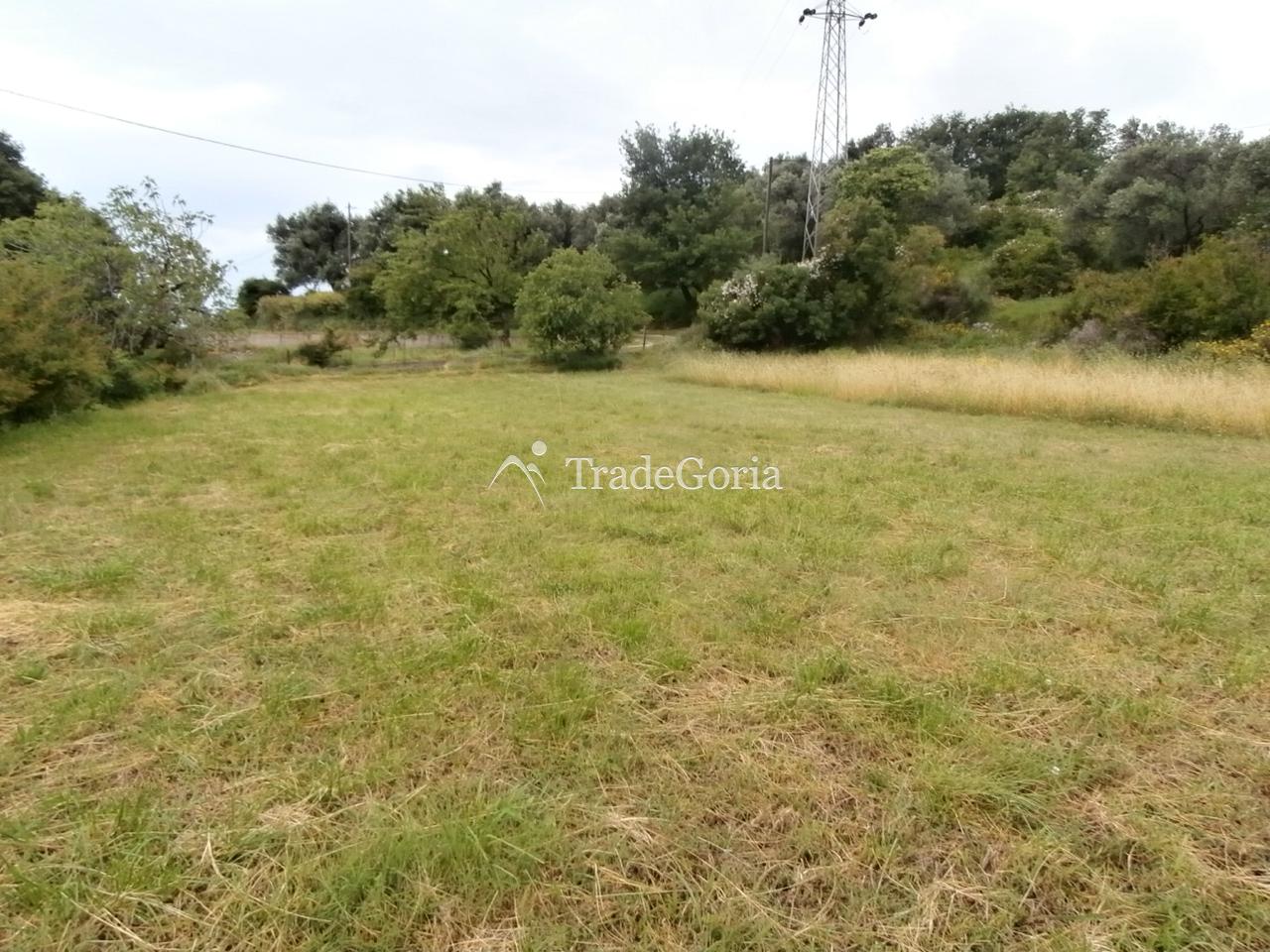 Posjed 7662 m2, u Dobroj Vodi, Barska Rivijera
