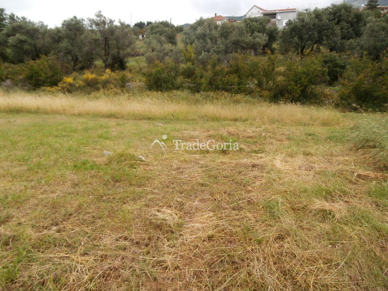 Posjed 7662 m2, u Dobroj Vodi, Barska Rivijera