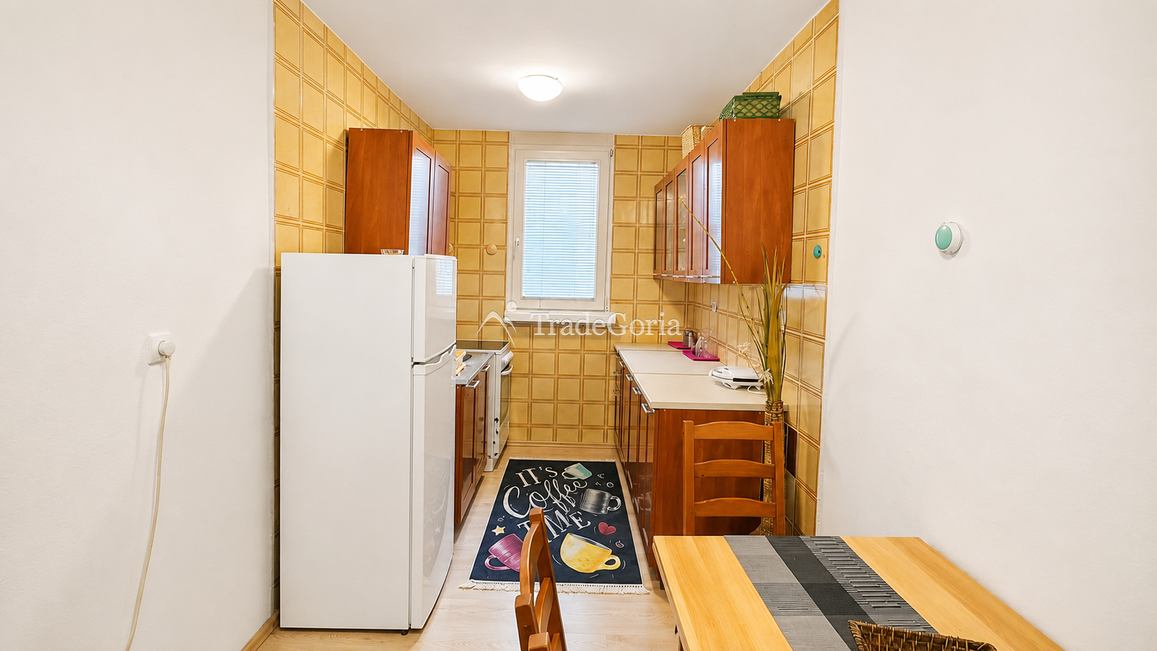 Apartment with Large Terrace in Bar Center