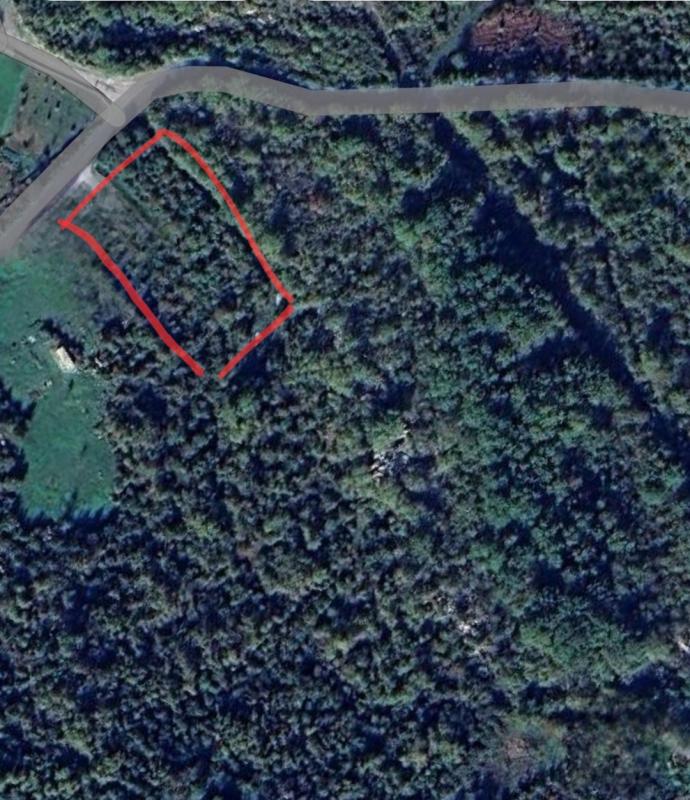 Land for sale in Rvaši, Cetinje.