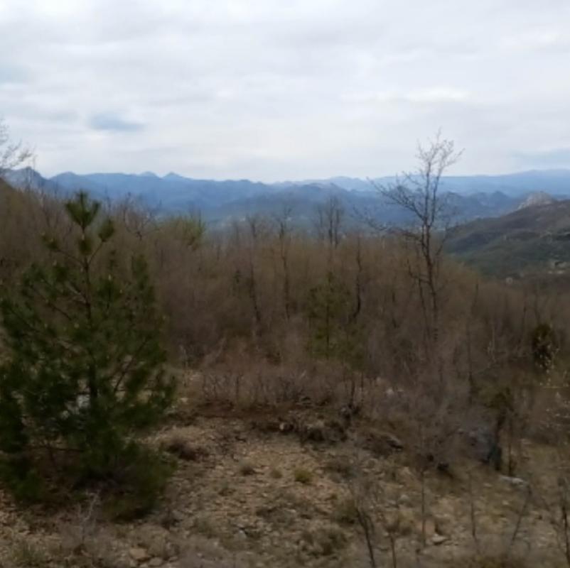 Land for sale in Sutorman.