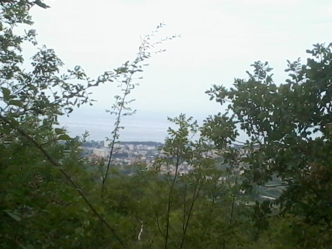 Land for sale in Zupci, Bar.