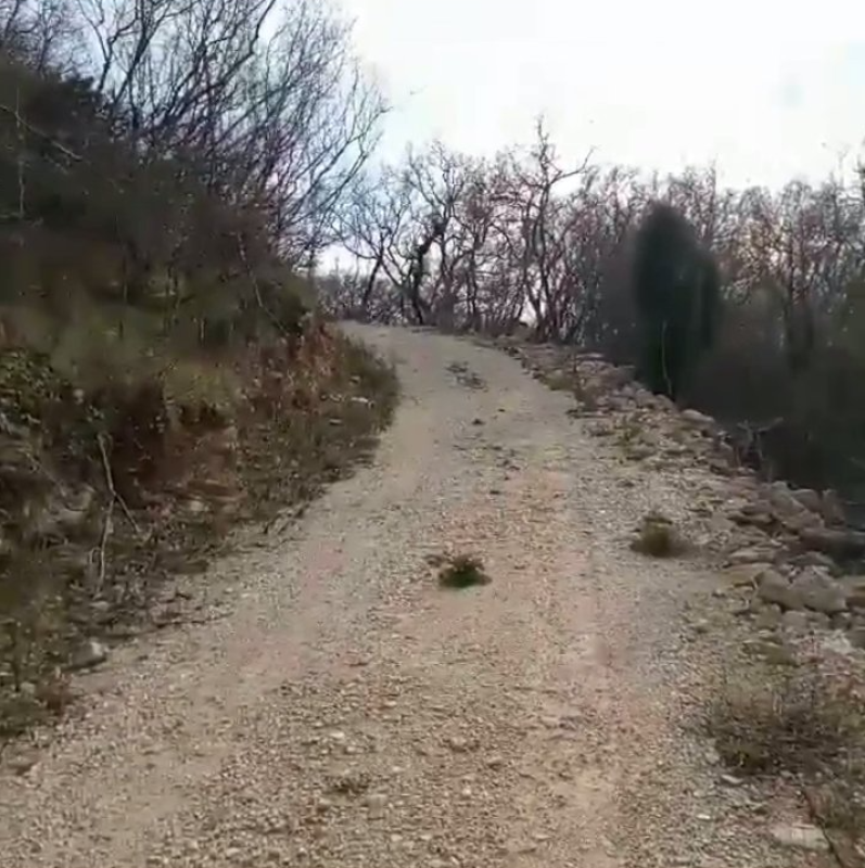 Land for sale in Zupci, Bar.