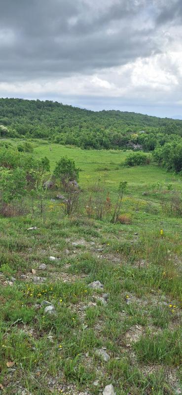 Land for sale near Podgorica